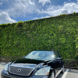 LS430