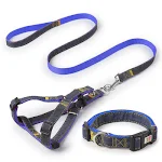 3blue outsize
