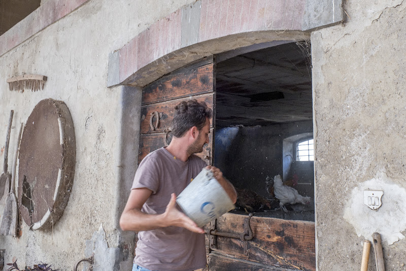 le galline dalle uova d'oro di Stiscio