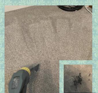 CARPET CLEANING album cover