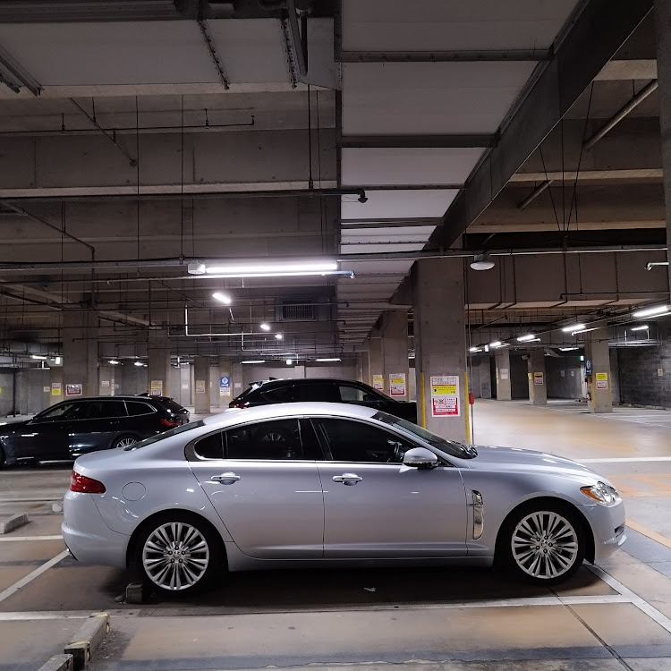 XFの愛車の白黒写真展・船橋市場・ジャガー・ねこのいる暮らし・ミックスフライ定食に関するカスタム事例の投稿画像7枚目
