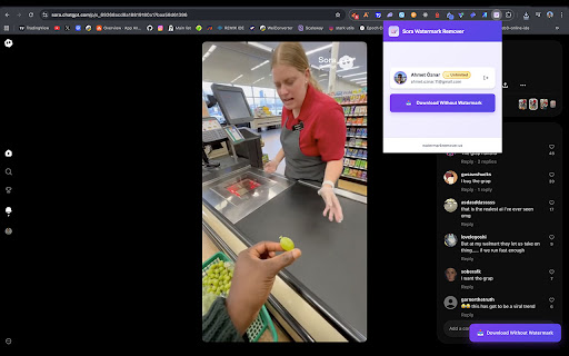 Sora Watermark Remover