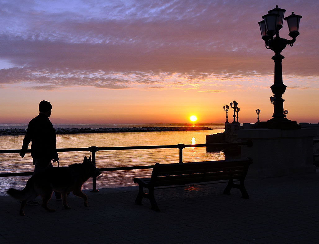 Passeggiando all'alba di Diana Cimino Cocco