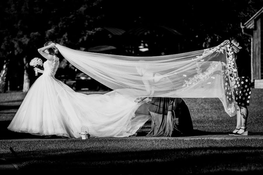 Fotógrafo de casamento József Márk Losonczi (losonczi). Foto de 16 de junho 2022