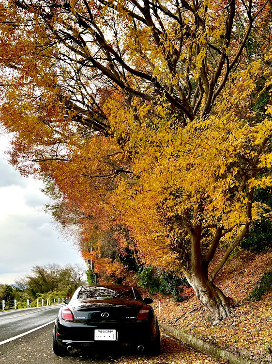 ソアラのSC430・紅葉・紅葉と愛車・洗車に関するカスタム事例の投稿画像2枚目