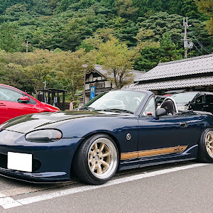 ロードスター NB8C