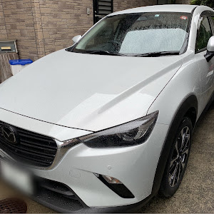 CX-3 DKEAW