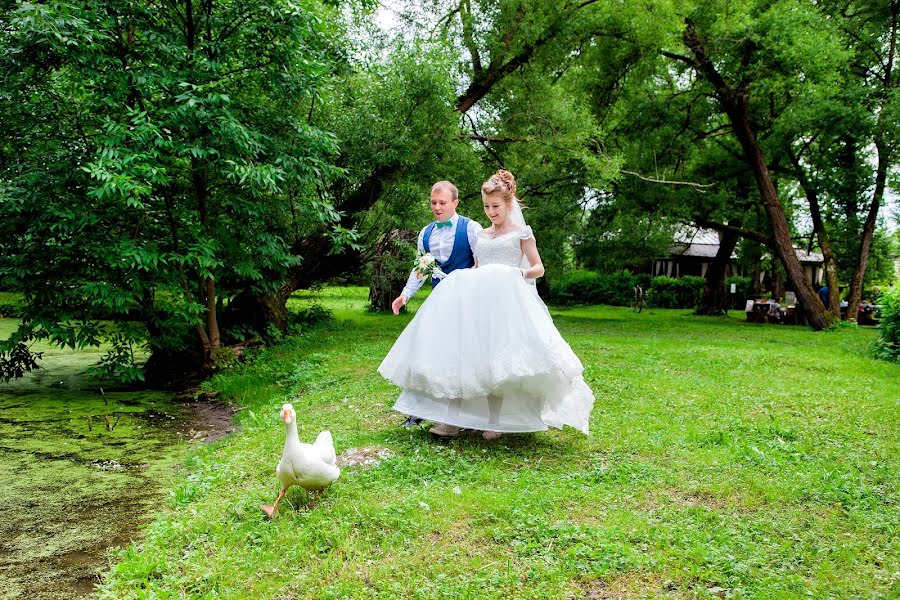 Fotógrafo de casamento Darya Plotnikova (fotodany). Foto de 26 de setembro 2017