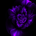 Purple theme - www.Themeforchorme.com Chrome extension download