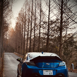 BRZ ZD8