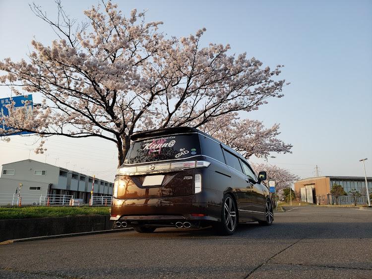エルグランドの桜とコラボ🌸に関するカスタム事例の投稿画像4枚目