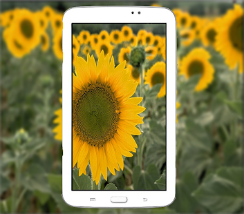 How to mod Professional DSLR Camera 2 unlimited apk for bluestacks