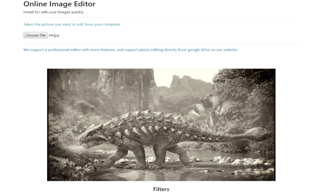 Screenshot of Online Image Editor