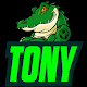 Tony Download on Windows