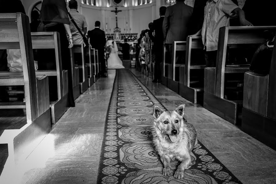 Fotografo di matrimoni Alessandro Spagnolo (fotospagnolonovo). Foto del 9 febbraio 2019