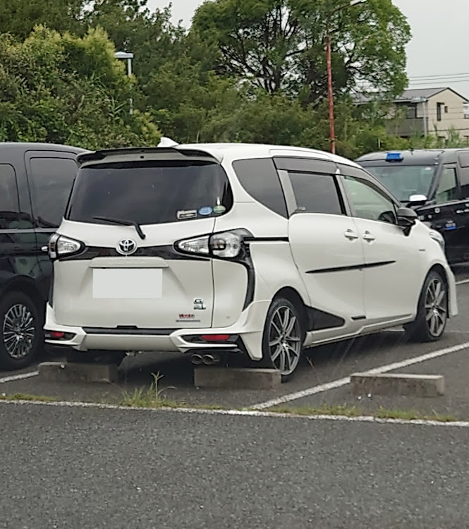 シエンタの7月もよろしくお願いします・ずぶ濡れの愛車に関するカスタム事例の投稿画像1枚目