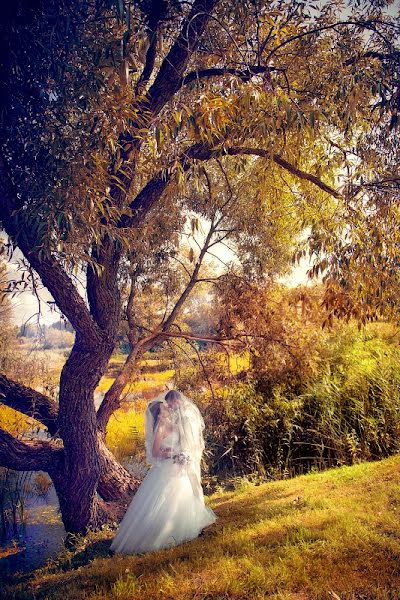 Fotógrafo de bodas Alena Levay (0507). Foto del 12 de septiembre 2013