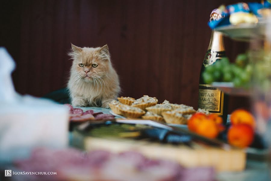 Wedding photographer Igor Savenchuk (igorsavenchuk). Photo of 9 January 2015