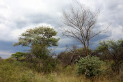 A storm brews over Dinokeng.