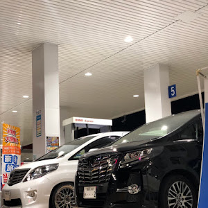 アルファード ANH20W