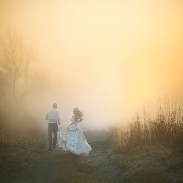 Photographe de mariage Rostyslav Kostenko (rossko). Photo du 27 décembre 2013