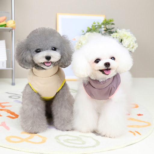 Title 4, Autumn and Winter Dog Clothes for ultimate comf...