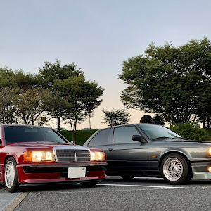 190シリーズ W201