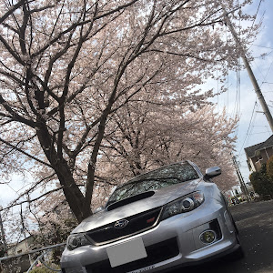 インプレッサ WRX STI GVB