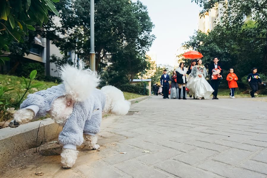 Fotógrafo de bodas Shubin Shen (treesimage). Foto del 7 de marzo 2021