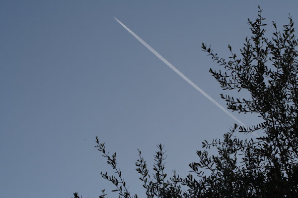 Viaggiare nel cielo di ciuchino 4