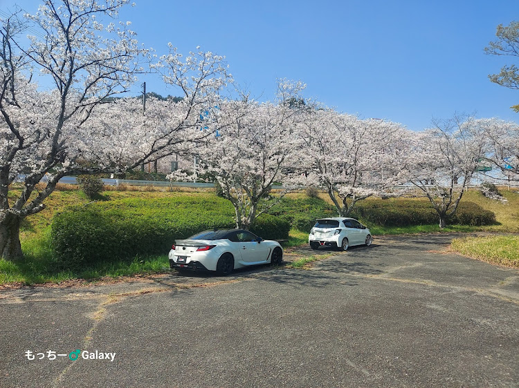 ヴィッツの岡山・桜と愛車・桜🌸シーズン・平日最高🙌・車は常にそこそこ綺麗に！に関するカスタム事例の投稿画像2枚目
