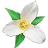 Washington Wildflowers icon