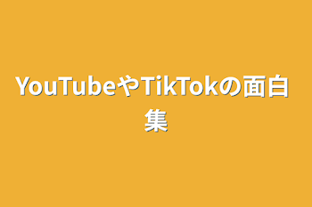 YouTubeやTikTokの面白集