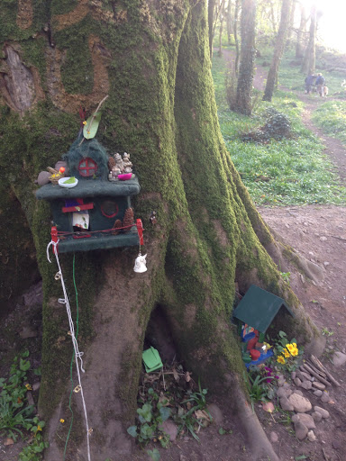 Fairy House 