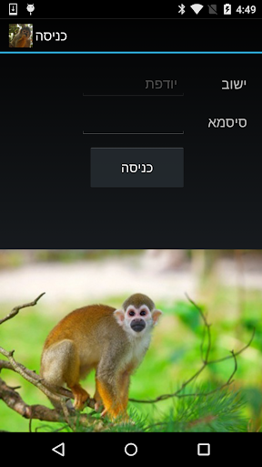 יודפת