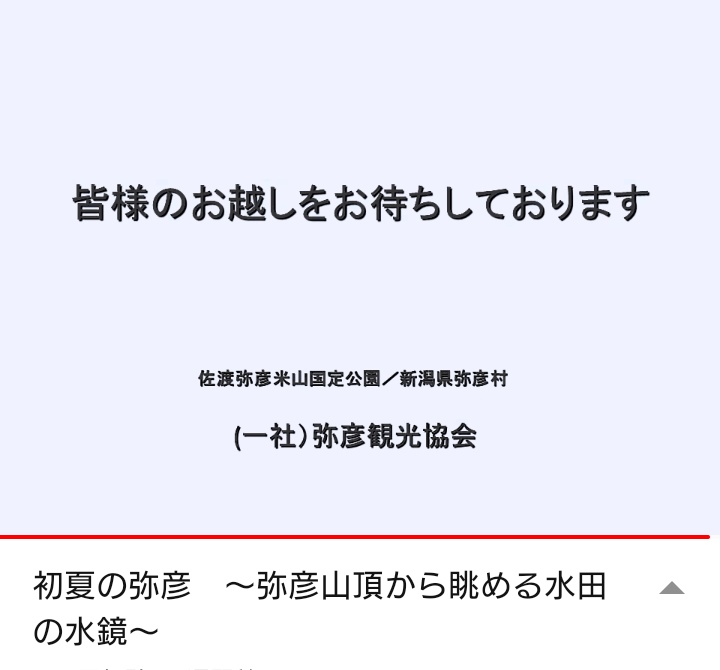 の投稿画像11枚目