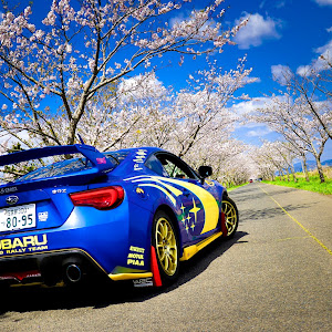 BRZ ZC6