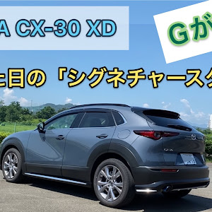 CX-30 DM8P