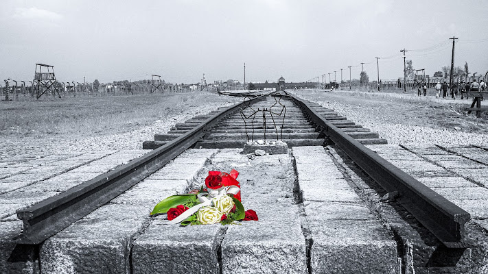 Birkenau - Un epilogo da non dimenticare di Nevio Saule