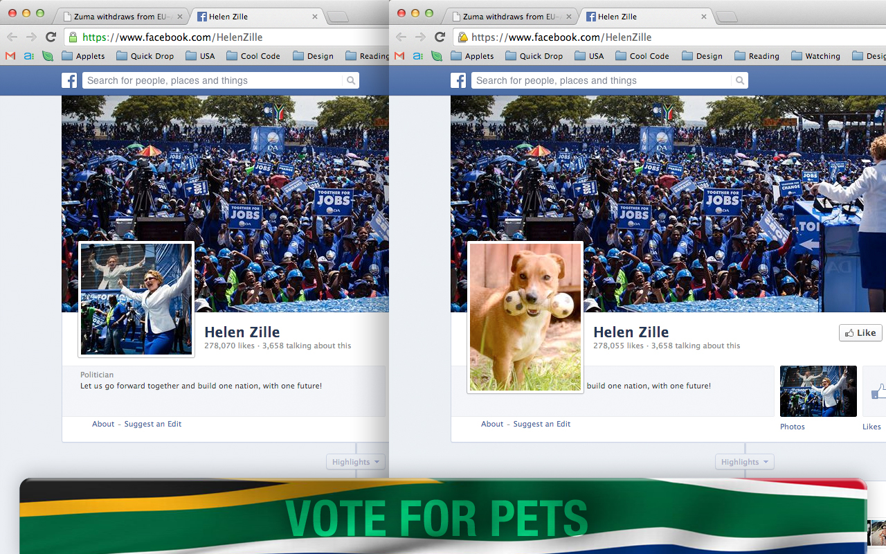 Vote for Pets Preview image 5