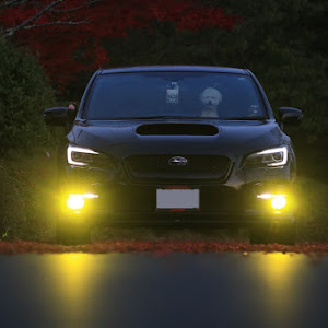 WRX S4 VAG