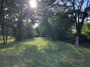 terrain à Vallières-les-Grandes (41)