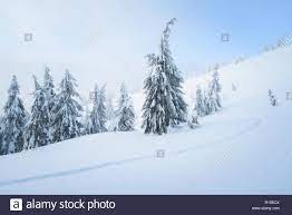 Snowy Weather High Resolution Stock Photography and Images - Alamy