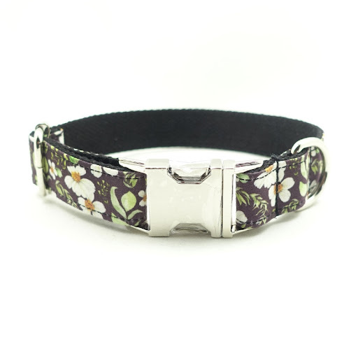 Title 2, Dog Bite Resistant Collar Keep your dog safe an...
