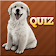 Races de chiens Quiz icon