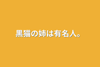 黒猫の姉は有名人。