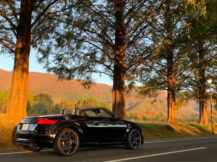 TT ロードスターのaudi TT・Audi TT Roadstar・ドライブ・メタセコイヤ並木道・紅葉ドライブに関するカスタム事例の投稿画像3枚目