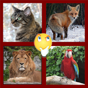 Zoomania - Animals Quiz 1.2 Icon