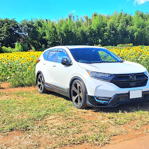 CR-V RW1