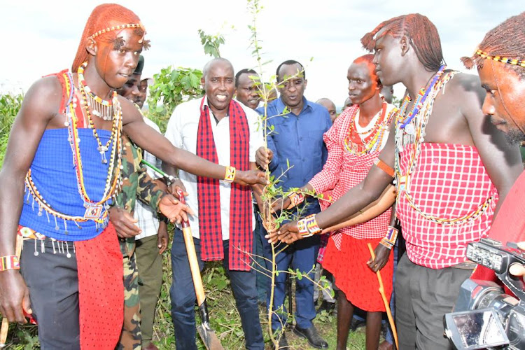 Kajiado Governor Joseph Ole Lenku at a tree planting exercise at Osinoni Secondary School, in Transmara West Sub County, Narok County on Wednesday January 4, 2023